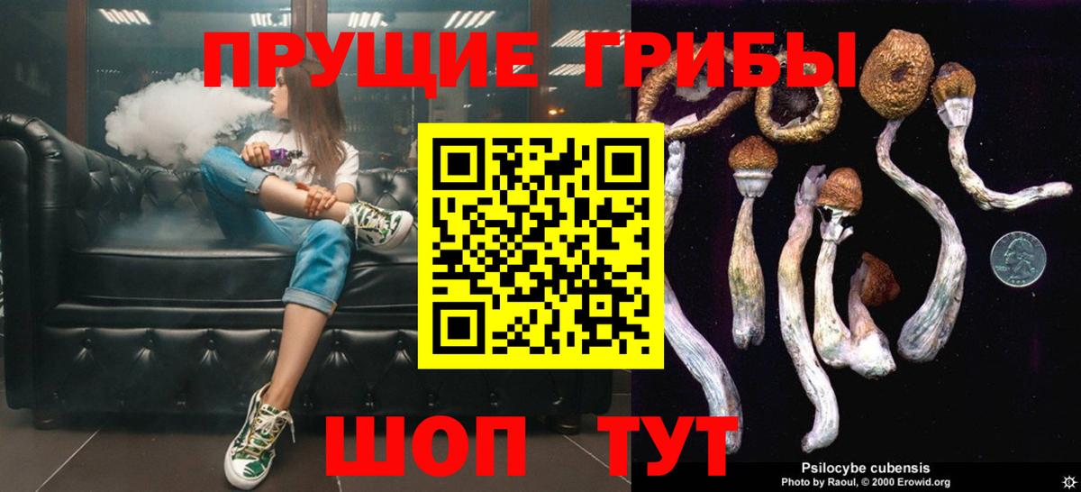 Мирный  Псилоцибиновые грибы Psilocybine cubensis  Вход с VPN  купить наркотик  Псилоцибиновые грибы GOLDEN TEACHER 